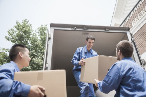 Packing and waste separation during an eco-friendly move